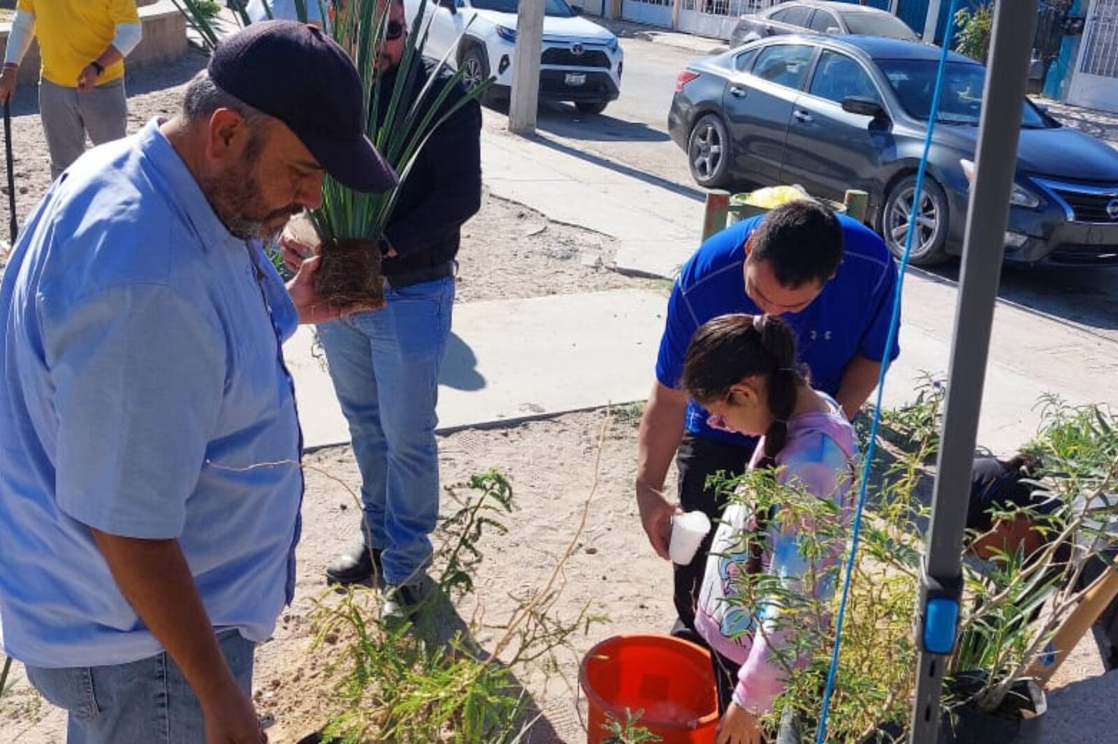 Siembra comunitaria del Centro de Formación Ciudadana en Ciudad Juárez
