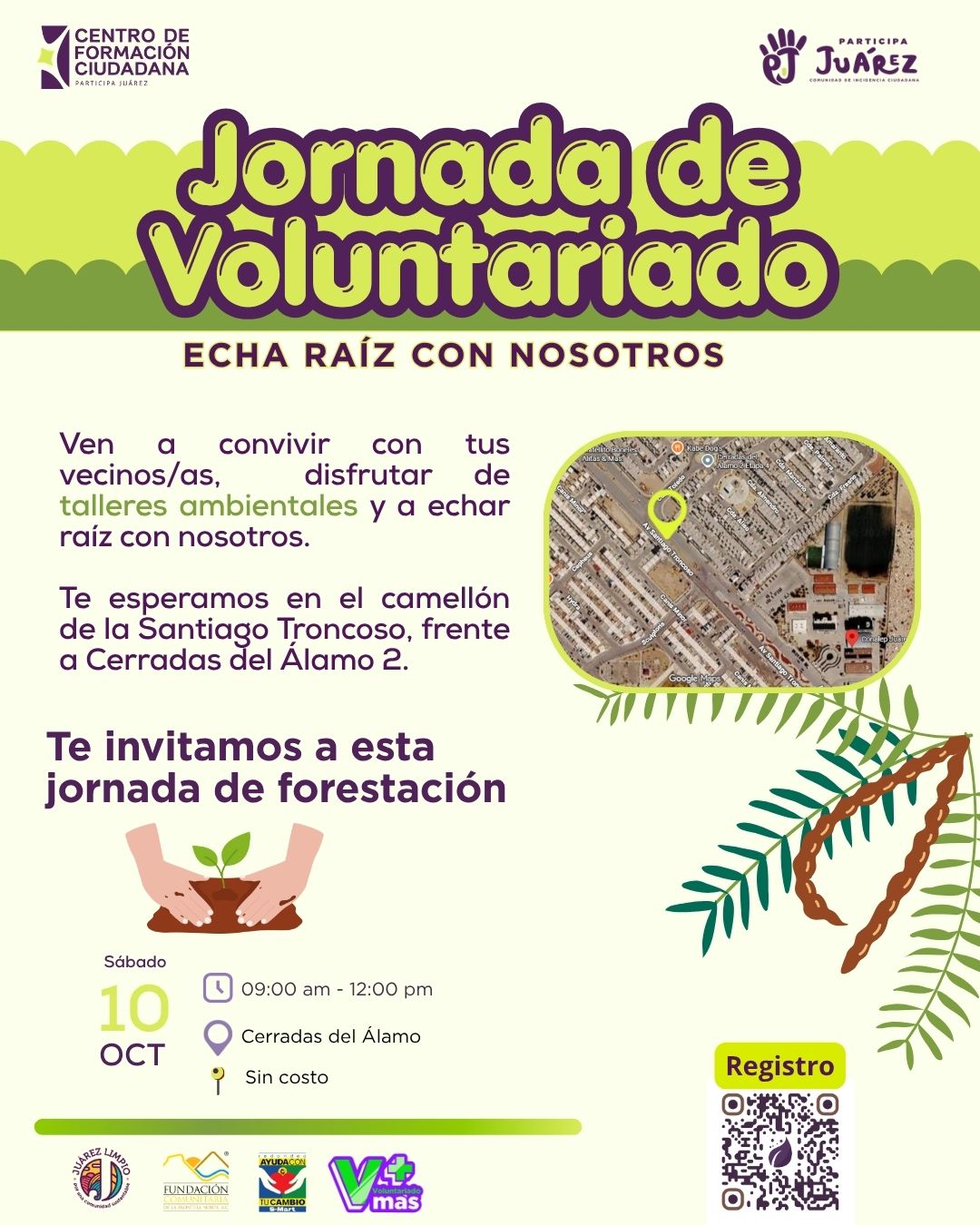 Flyer: Jornada de Voluntariado